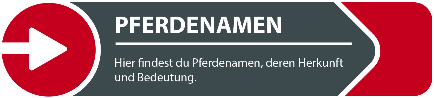 Männliche und weibliche Pferdenamen für dein Stutfohlen oder Hengstfohlen.