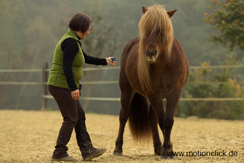 Motionclick.de – Positives Pferdetraining mit Clickertraining mit Sylvia Czarnecki