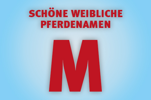 Weibliche Pferdenamen Mit M Pferde World