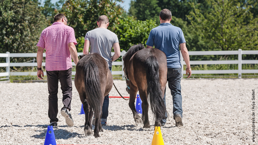 Pferdegestütztes Coaching in Kombination mit Wahrnehmungs-, Präsenz- & Bewusstseinstraining