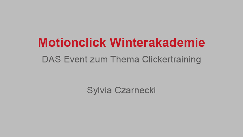 Motionclick Winterakademie – Das Event zum Thema Clickertraining