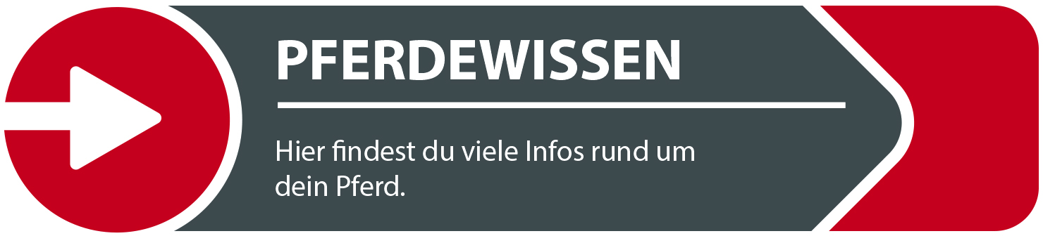 Informationen rund um´s Pferd, Begriffserklärungen etc.