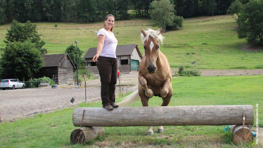 Katrin Seifert mit ihren Pferden auf der Orlatal-Ranch Katrin Seifert mit ihren Pferden auf der Orlatal-Ranch, Natural Horsemanship