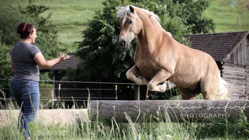 Katrin Seifert mit ihren Pferden auf der Orlatal-Ranch Katrin Seifert mit ihren Pferden auf der Orlatal-Ranch, Natural Horsemanship