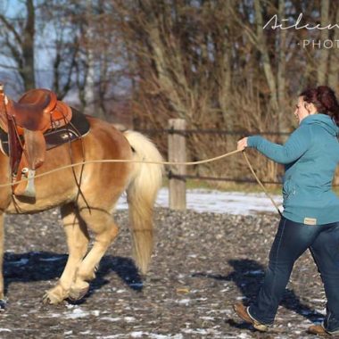 Natural Horsemanship Katrin Seifert