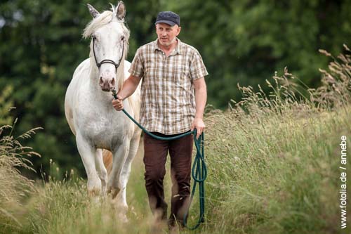 Gerichtsurteil von 2015: Ein Pferd führen ist kein Reiten