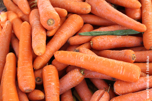 Möhren auch Karotten genannt sind ein Vitaminbooster für Pferde