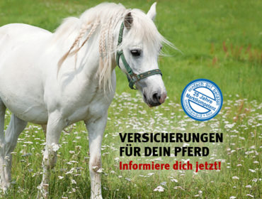 Versicherungen für Pferde – Thorsten Freyer