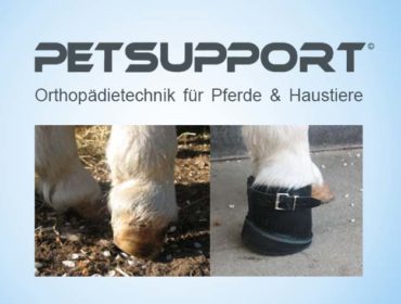 Petsupport Orthopädietechnik für Pferde