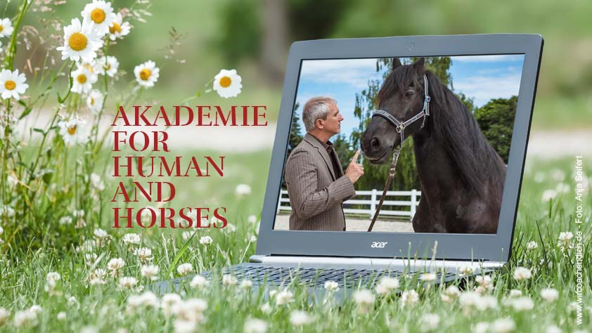Akademie for Human and Horses - Antje Müller