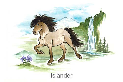 Ein Boxenschild für dein Pferd - Rasse: Isländer in verschiedenen Farben