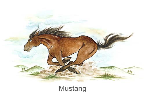 Ein Boxenschild für dein Pferd - Rasse: Mustang in verschiedenen Farben