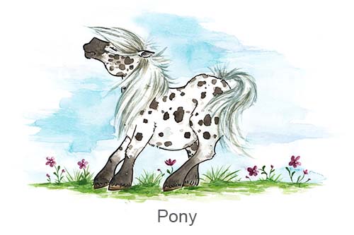 Ein Boxenschild für dein Pferd - Rasse: Pony in verschiedenen Farben