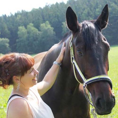 Pferdephysiotherapie Aileen Ullrich