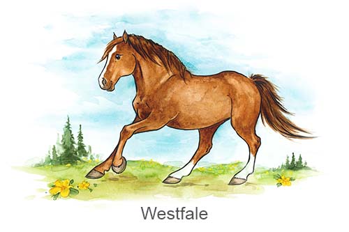 Ein Boxenschild für dein Pferd - Rasse: Westfale in verschiedenen Farben