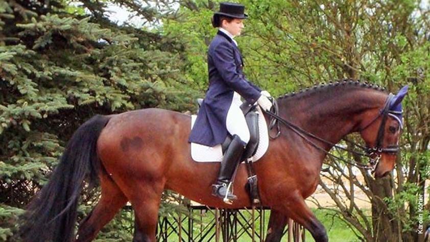 Karolin Köhler - Dressage, Horsemanship und Fütterungsmanagement