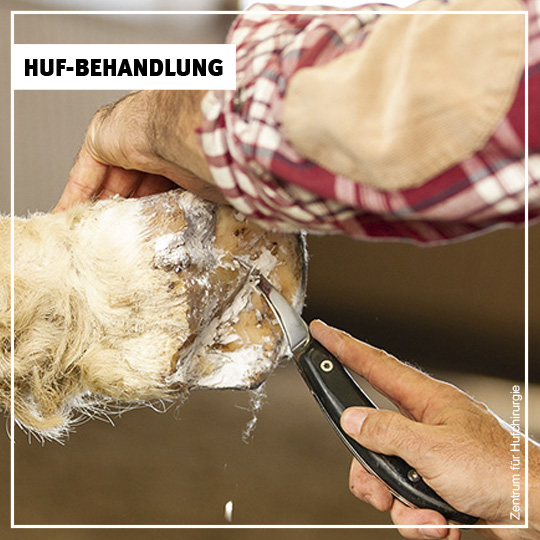 Huf-Notdienst - Martin Jansa