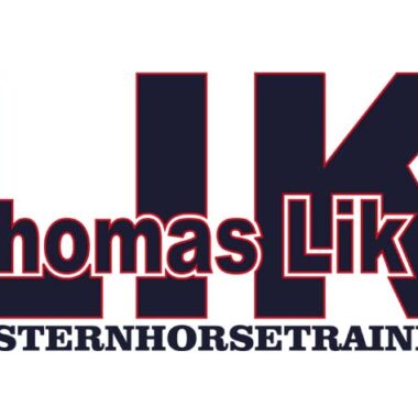 Thomas Lik - Westernhorsetrainer Reining